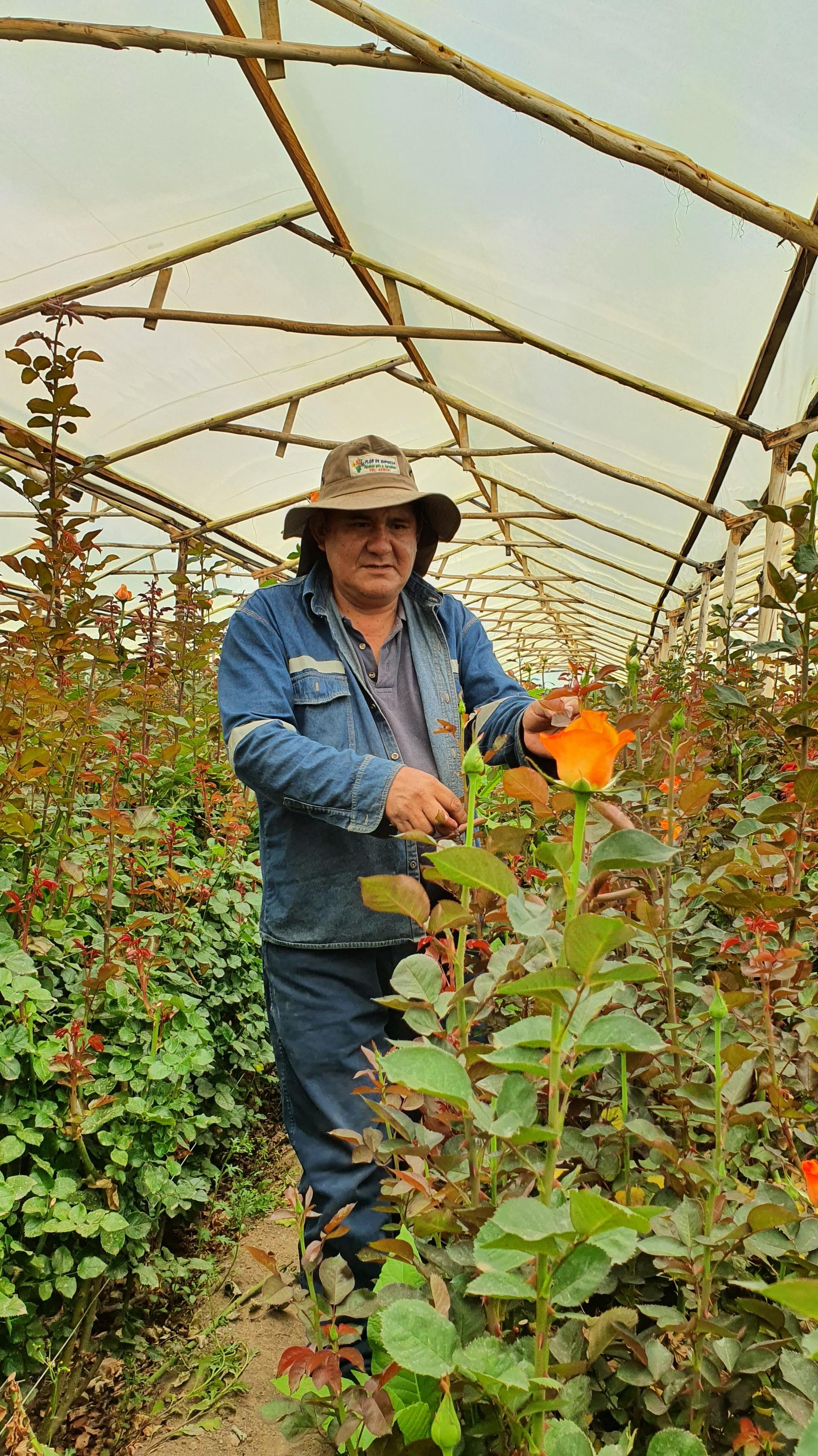 floricultor Cochabamba Bolivia